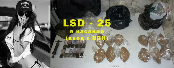 крисы Абаза