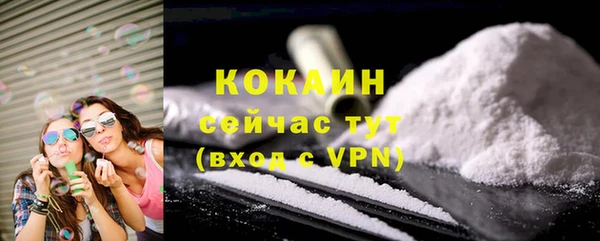 крисы Абаза