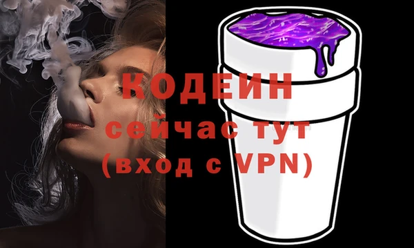 крисы Абаза