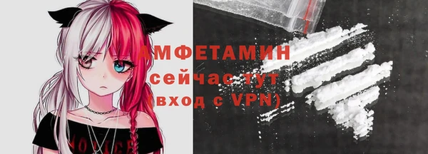крисы Абаза