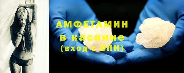 крисы Абаза